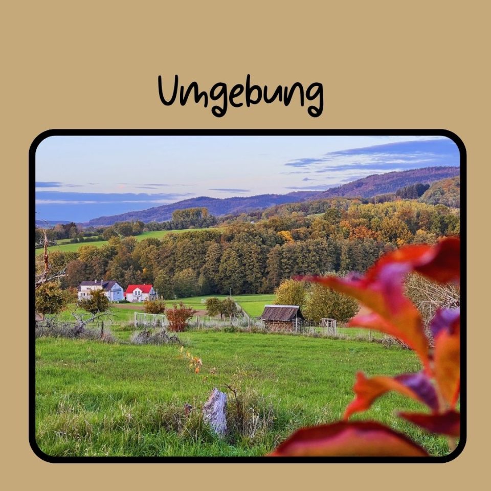 Direkte Umgebung Drachenhaus